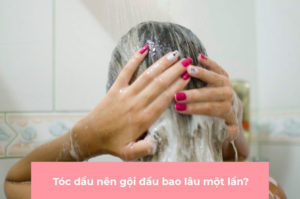 tóc dầu có nên gội đầu hàng ngày