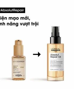 Bao bì dầu dưỡng tóc L'Oréal Absolut Repair