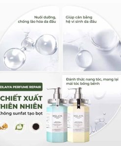 Công dụng Dầu gội xả phục hồi đa tầng Weilaiya chiết xuất nấm Truffle