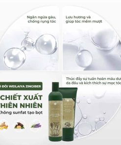 Công dụng Dầu gội xả Weilaiya gừng hà thủ ô