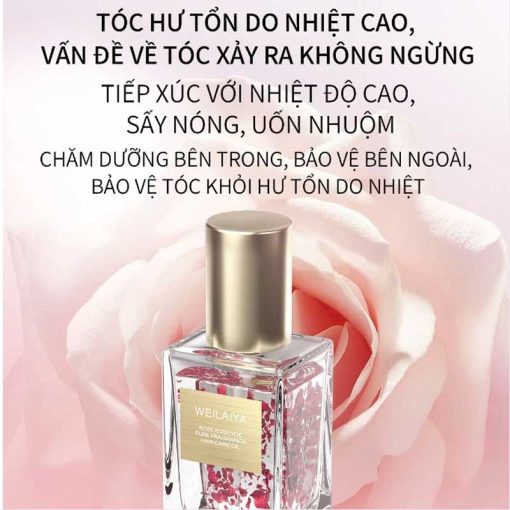 Giới thiệu Tinh dầu dưỡng tóc Weilaiya chiết xuất cánh hoa hồng phục hồi hư tổn giảm xơ rối không bết dính 40ml