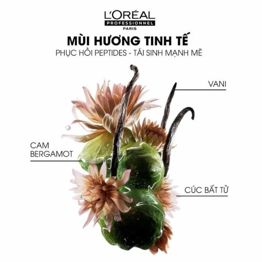 Mùi hương dầu gội L'Oréal Absolut Repair Molecular