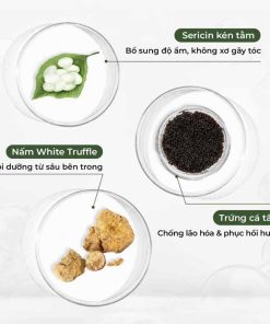 Thành phần Dầu gội xả phục hồi đa tầng Weilaiya chiết xuất nấm Truffle