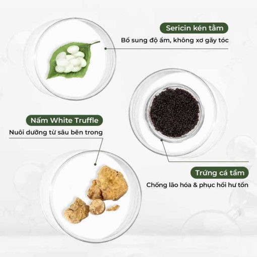 Thành phần Dầu gội xả phục hồi đa tầng Weilaiya chiết xuất nấm Truffle