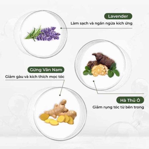 Thành phần dầu gội xả Weilaiya gừng hà thủ ô