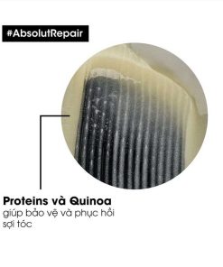 Thành phần dầu gội L'Oréal Absolut Repair Gold