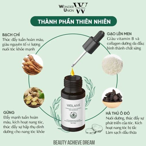 Thành phần Serum mọc tóc Weilaiya Ginger Hair Root Nourishing