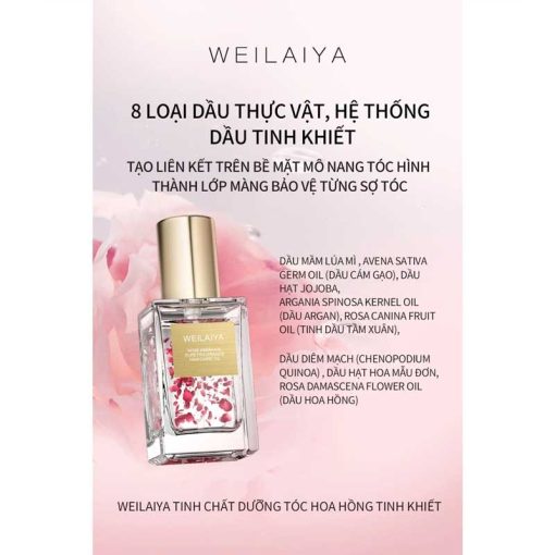 Thành phần Dưỡng tóc hoa hồng hương nước hoa Weilaiya 40ml